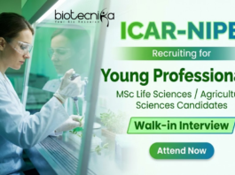 Young Professional Jobs under ICAR Recruitment at NIPB New Delhi