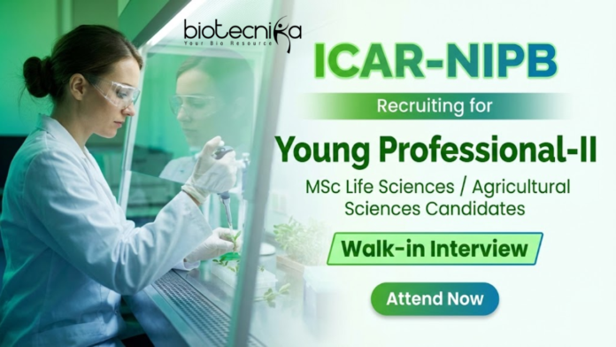 icar-nipb Young Professional Jobs under ICAR Recruitment at NIPB New Delhi