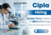 Microbiology Job at Cipla | Junior Team Member QC | Apply Now Microbiology job at Cipla Rangpo M.Sc Microbiology jobs CIPLA jobs