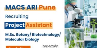Project Assistant Jobs at MACS ARI Pune – MSc Botany Apply Now Apply for Project Assistant jobs at MACS-ARI Pune. Ideal Biotech Jobs for Masters' Seeking Life Science Research Experience in Plant Sciences.