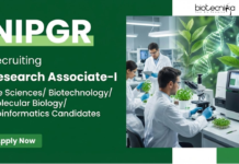 Research Associate Jobs at NIPGR – PhD Life Sciences Candidates Apply Now Apply for Research Associate Jobs at NIPGR Recruitment 2026. DBT-funded role for PhD Life Science Candidates with ₹58,000 salary plus HRA.