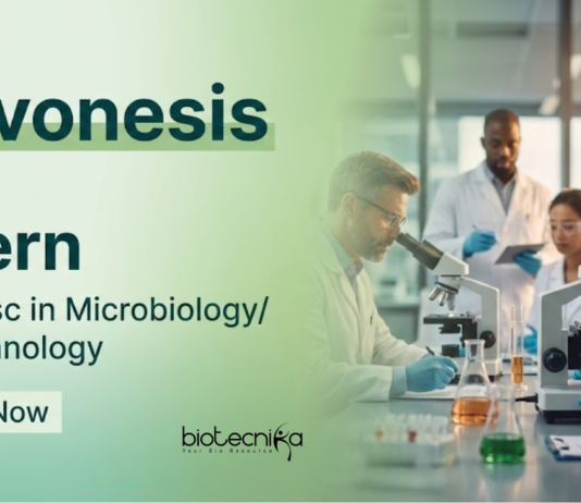 Apply for a Microbiology Internship at Novonesis in Palghar. Ideal for BSc/MSc Graduates Aiming for Biotech jobs and a Life Science Career.