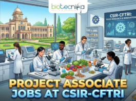 Project Associate Jobs at CSIR-CFTRI Explore Latest Life Science Jobs. An illustration for a job advertisement featuring the "biotecnika Global" logo at the top center. The main scene is a bustling, modern food science laboratory where diverse researchers in lab coats are working with microscopes, analytical instruments, and various food samples like vegetables and grains. A large screen in the background reads "CSIR-CFTRI: FOOD RESEARCH & INNOVATION". Through large windows, the grand campus building of CSIR-CFTRI is visible under a clear sky. Large, bold gold and blue text across the bottom reads "PROJECT ASSOCIATE JOBS AT CSIR-CFTRI".