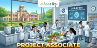 Project Associate Jobs at CSIR-CFTRI Explore Latest Life Science Jobs. An illustration for a job advertisement featuring the "biotecnika Global" logo at the top center. The main scene is a bustling, modern food science laboratory where diverse researchers in lab coats are working with microscopes, analytical instruments, and various food samples like vegetables and grains. A large screen in the background reads "CSIR-CFTRI: FOOD RESEARCH & INNOVATION". Through large windows, the grand campus building of CSIR-CFTRI is visible under a clear sky. Large, bold gold and blue text across the bottom reads "PROJECT ASSOCIATE JOBS AT CSIR-CFTRI".
