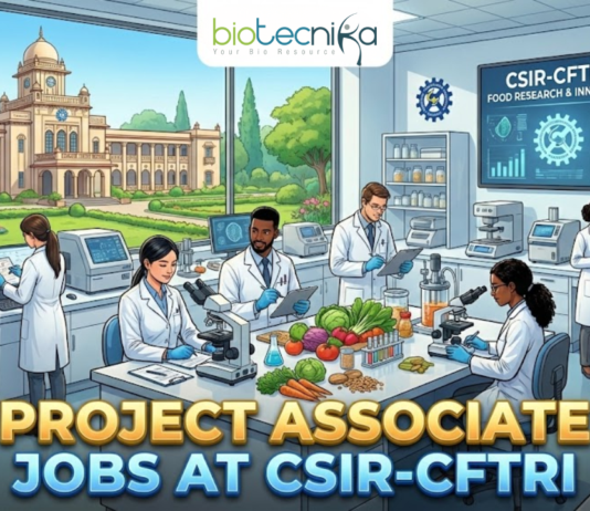 Project Associate Jobs at CSIR-CFTRI Explore Latest Life Science Jobs. An illustration for a job advertisement featuring the "biotecnika Global" logo at the top center. The main scene is a bustling, modern food science laboratory where diverse researchers in lab coats are working with microscopes, analytical instruments, and various food samples like vegetables and grains. A large screen in the background reads "CSIR-CFTRI: FOOD RESEARCH & INNOVATION". Through large windows, the grand campus building of CSIR-CFTRI is visible under a clear sky. Large, bold gold and blue text across the bottom reads "PROJECT ASSOCIATE JOBS AT CSIR-CFTRI".
