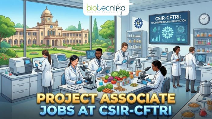 Project Associate Jobs at CSIR-CFTRI Explore Latest Life Science Jobs Project Associate Jobs at CSIR-CFTRI Explore Latest Life Science Jobs. An illustration for a job advertisement featuring the "biotecnika Global" logo at the top center. The main scene is a bustling, modern food science laboratory where diverse researchers in lab coats are working with microscopes, analytical instruments, and various food samples like vegetables and grains. A large screen in the background reads "CSIR-CFTRI: FOOD RESEARCH & INNOVATION". Through large windows, the grand campus building of CSIR-CFTRI is visible under a clear sky. Large, bold gold and blue text across the bottom reads "PROJECT ASSOCIATE JOBS AT CSIR-CFTRI".