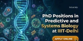 PhD Positions in Predictive and Systems Biology