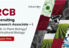 RCB Recruitment 2026 invites applications for Research Associate I under DBT project. Apply for Agriculture Research Jobs in Biotechnology.