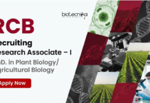 RCB Recruitment – Agricultural PhD Candidates Apply Now RCB Recruitment 2026 invites applications for Research Associate I under DBT project. Apply for Agriculture Research Jobs in Biotechnology.