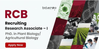 RCB Recruitment – Agricultural PhD Candidates Apply Now RCB Recruitment 2026 invites applications for Research Associate I under DBT project. Apply for Agriculture Research Jobs in Biotechnology.