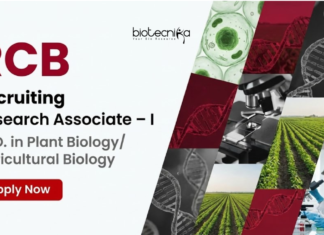 RCB Recruitment – Agricultural PhD Candidates Apply Now RCB Recruitment 2026 invites applications for Research Associate I under DBT project. Apply for Agriculture Research Jobs in Biotechnology.