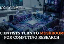 Computing research using mushrooms as scientists study fungal mycelium networks in advanced mushroom research
