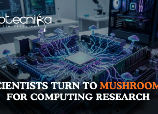 Why Scientists Are Turning to Mushrooms for Computing Research Computing research using mushrooms as scientists study fungal mycelium networks in advanced mushroom research