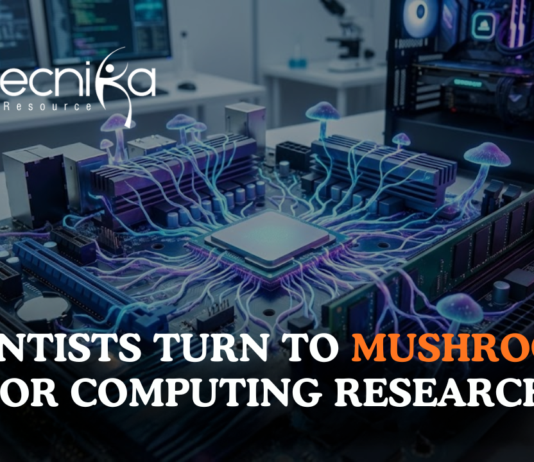 Computing research using mushrooms as scientists study fungal mycelium networks in advanced mushroom research
