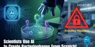 Scientists use AI to Design Bacteriophages from Scratch, Advancing Research While Raising Concerns About Biosecurity, Ethics, & Safety.