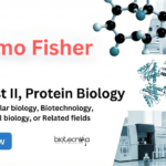 Apply for Scientist Jobs at Thermo Fisher Careers Bangalore. Protein Biology Role Open for PhD Candidates Seeking Life Science Jobs in R&D.
