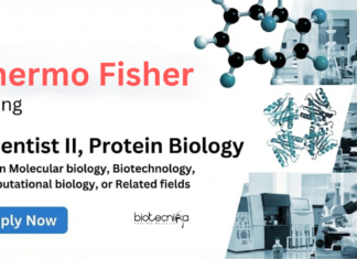 Scientist Jobs at Thermo Fisher Scientific – PhD Life Science Candidates Apply Now Apply for Scientist Jobs at Thermo Fisher Careers Bangalore. Protein Biology Role Open for PhD Candidates Seeking Life Science Jobs in R&D.