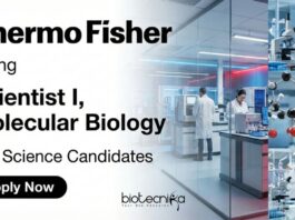 Apply for Scientist Jobs at Thermo Fisher Scientific. Explore Scientist I Molecular Biology Roles and Build a Career in Life Science Jobs.