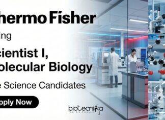Apply for Scientist Jobs at Thermo Fisher Scientific. Explore Scientist I Molecular Biology Roles and Build a Career in Life Science Jobs.