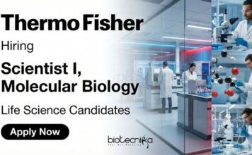 Scientist Jobs at Thermo Fisher Scientific – Freshers Life Science Candidates Apply Now Apply for Scientist Jobs at Thermo Fisher Scientific. Explore Scientist I Molecular Biology Roles and Build a Career in Life Science Jobs.