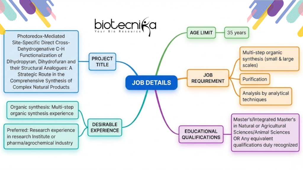 Job details mind map for photoredox-mediated organic synthesis project, including qualifications, age limit, multi-step synthesis, and research experience