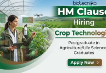 Crop Technologist Jobs at HM Clause | Agricultural Research Role | Apply Now Crop Technologist Jobs at HM Clause in Agricultural Research and R&D Operations