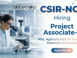 Research jobs at CSIR NCL Pune Project Associate-II process optimization vacancy