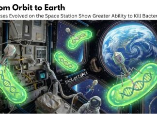 Phages Evolved on the Space Station Show Greater Ability to Kill Bacteria Phages Evolved on the ISS Show Improved Bacteria-killing Ability, Offering New Insights into Microgravity and Antibiotic Resistance.