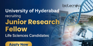 Junior Research Fellow Job at the University of Hyderabad. M.Sc. in any discipline of Life Sciences, Apply Now.