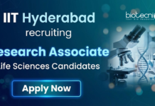Research Associate Job at IIT Hyderabad. Life Sciences Candidates, Apply Now. DBT-NSF enzyme project. Salary: ₹58k + HRA.