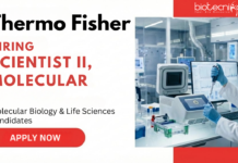 Scientist Job at Thermo Fisher Scientific. Molecular Biology & Life Sciences Candidates, Apply Now. Job in Bangalore.