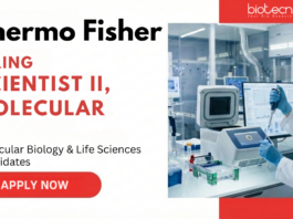 Scientist Job at Thermo Fisher Scientific. Molecular Biology & Life Sciences Candidates, Apply Now. Job in Bangalore.