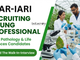 Young Professional Job at ICAR-IARI. Plant Pathology & Life Sciences Candidates, Attend The Walk-In-Interview.
