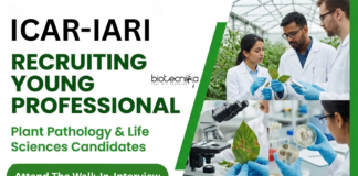 Young Professional Job at ICAR-IARI. Plant Pathology & Life Sciences Candidates, Attend The Walk-In-Interview.