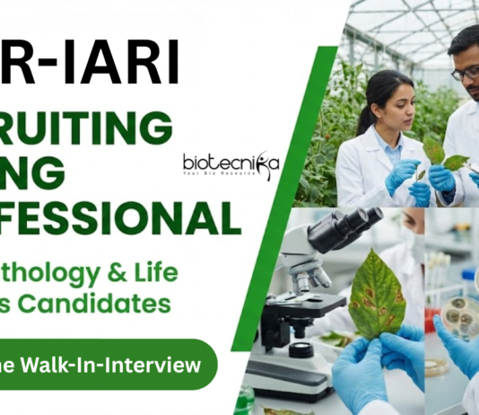 Young Professional Job at ICAR-IARI. Plant Pathology & Life Sciences Candidates, Attend The Walk-In-Interview.