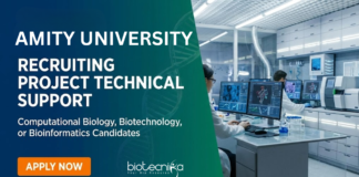 Research Job at Amity University. Bioinformatics & Computational Biology Candidates, Apply Now For Project Technical Support Role.