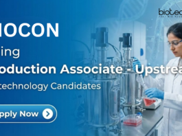 Production Associate at Biocon. Biotechnology Candidates with experience in industrial upstream production, Apply Now.