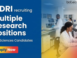 Research Job at CSIR- Central Drug Research Institute. Multiple Research openings for Life Science graduates. Attend The Walk-In-Interview.