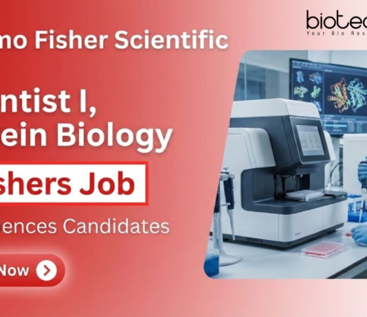 Scientist Job at Thermo Fisher Scientific. Life Sciences Freshers, Apply Now For Scientist I, Protein Biology Role in Bengaluru.