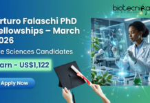 PhD Fellowships at ICGEB - Arturo Falaschi PhD Fellowships - March 2026. Life Sciences Candidates, Apply Now.