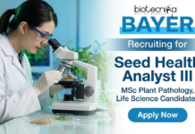 Bayer Careers offering Agriculture Jobs | Seed Health Analyst III | Plant Pathology Jobs | Apply Now Bayer Agriculture Jobs Seed Health Analyst III Plant Pathology
