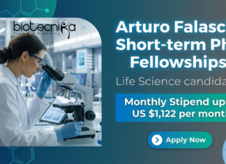 Arturo Falaschi Short-term PhD Fellowships 2026 – Applications Invited Arturo Falaschi Short-term PhD Fellowships 2026 – Life Science Research Opportunity