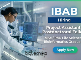 IBAB Research Jobs 2026 for Project Assistant and Postdoctoral Fellow in Life Science Jobs