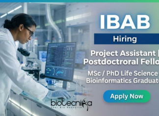 IBAB Research Jobs 2026 for Project Assistant and Postdoctoral Fellow in Life Science Jobs