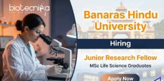 Junior Research Fellow – BHU Recruitment for Life Science Jobs | Apply Now Junior Research Fellow Life Science Jobs under BHU Recruitment 2026