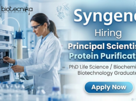 Syngene Careers hiring for Principal Scientist Job | Life Science Jobs Principal Scientist Job at Syngene Careers – Life Science Jobs in Protein Purification