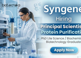 Principal Scientist Job at Syngene Careers – Life Science Jobs in Protein Purification