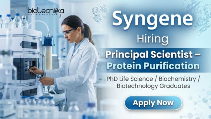 Syngene Principal Scientist Job at Syngene Careers – Life Science Jobs in Protein Purification