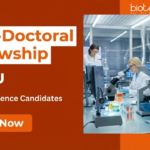 Post Doctoral Fellowship at BHU | PhD Life Sciences Candidates Apply Now | Earn ₹60,000 Apply for Post Doctoral Fellowship under BHU Recruitment. Advance your Life Sciences Research Career with High Stipend and Top Facilities.