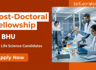 Post Doctoral Fellowship at BHU | PhD Life Sciences Candidates Apply Now | Earn ₹60,000 Apply for Post Doctoral Fellowship under BHU Recruitment. Advance your Life Sciences Research Career with High Stipend and Top Facilities.
